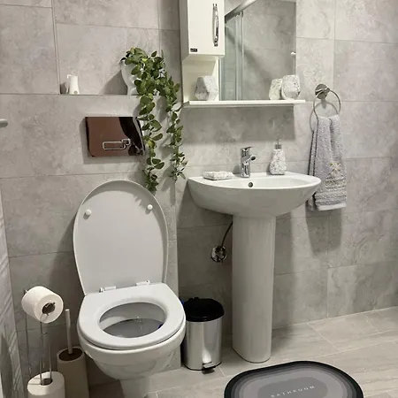 Banjac דירה Vrnjci